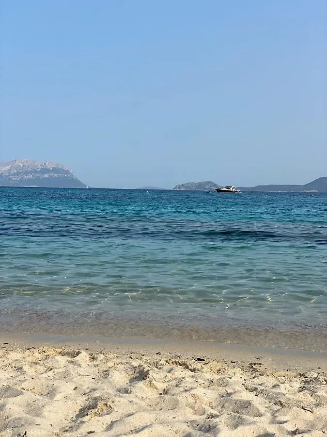 Sardinia Art House Villa Casa Tamponi 0*,